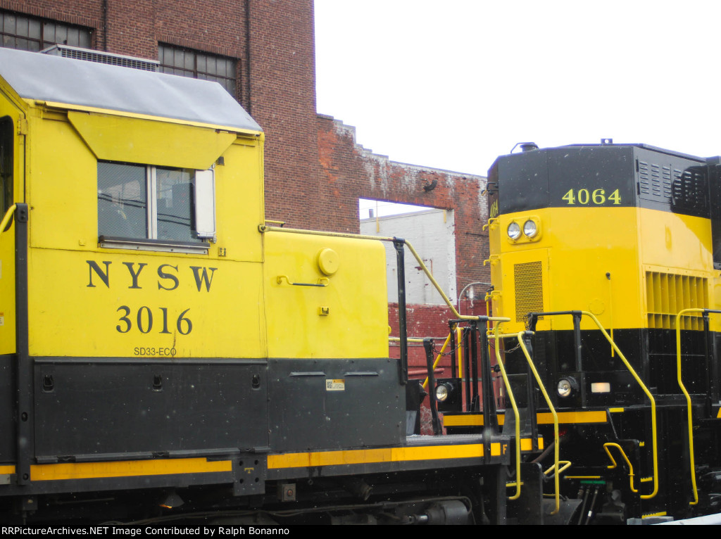 A study of the contrasting shades of yellow on two different models 